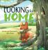 Looking for Home; A Heartwarming Tale of a Fox's Journey