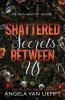 Shattered Secrets Between Us