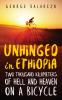 Unhinged in Ethiopia
