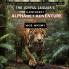 The Joyful Jaguar's Rainforest Alphabet Adventure