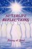 Afterlife Reflections