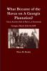 What Became of the Slaves on A Georgia Plantation? Great Auction Sale of Slaves at Savannah Georgia March 2d & 3d 1859.