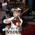 ME AND MY VIOLIN