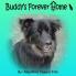 Buddy's Forever Home