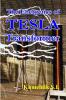 The Energetics of Tesla transformers