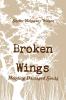 Broken Wings  Mending Damaged Souls