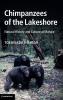 Chimpanzees of the Lakeshore