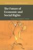 The Future of Economic and Social Rights