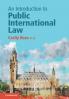 An Introduction to Public International Law