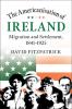 The Americanisation of Ireland