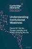 Understanding Institutional Weakness