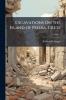 Excavations On the Island of Pseira Crete; Volume 3