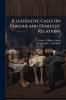 Illustrative Cases On Persons and Domestic Relations