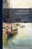 Espelho De Portuguezes; Volume 2