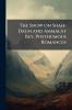The Snow on Shah-Dagh and Ammalat Bey Posthumous Romances