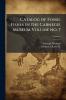 Catalog of Fossil Fishes in the Carnegie Museum Volume no. 7; Volume 4