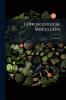 Conchological Miscellany; Volume 7