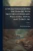 A Steam Voyage Down the Danube. With Sketches of Hungary Wallachia Servia and Turkey &c; Volume 1