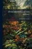 Hymenophyllaceas novas