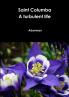 Saint Columba A turbulent life