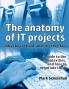 The anatomy of IT projects