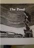 The Pond