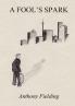 A FOOL'S SPARK