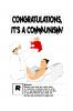 CONGRATULATIONS IT'S A COMMUNISM!