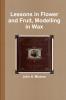 Lessons in Flower and Fruit Modelling in Wax