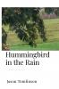 Hummingbird in the Rain