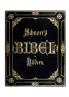 Die Bibel in Bildern