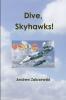 Dive Skyhawks!