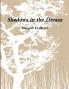 Shadows in the Dream
