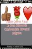 Gustar Querer y Amar