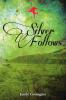 Silver Follows