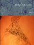 The Path to Mermainia