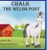 CHALK THE WELSH PONY