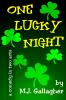 One Lucky Night