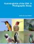 Hummingbirds of the USA
