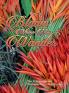Bloom Where You Wander (Expanded glossy cover)