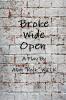 Broke Wide Open
