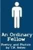 An Ordinary Fellow