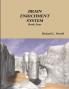 BRAIN ENRICHMENT SYSTEM Book Four