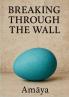 Breaking Through The Wall
