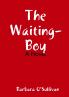 The Waiting-Boy