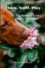 Think Sniff Play