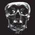 Skull I.