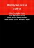 Staphylococcus aureus