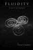 Fluidity  - the way to true DemoKratia