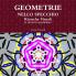 GEOMETRIE NELLO SPECCHIO. Ricerche Visuali. Il quinto quaderno